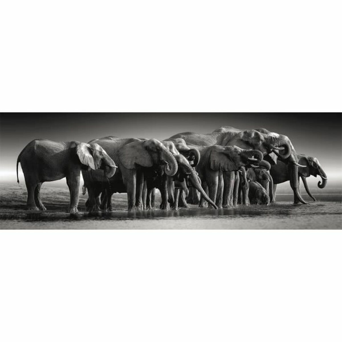 Puzzel Clementoni